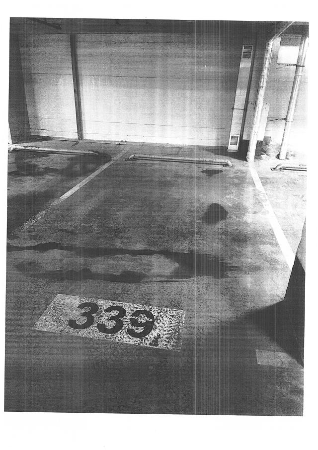 Лот 4034763